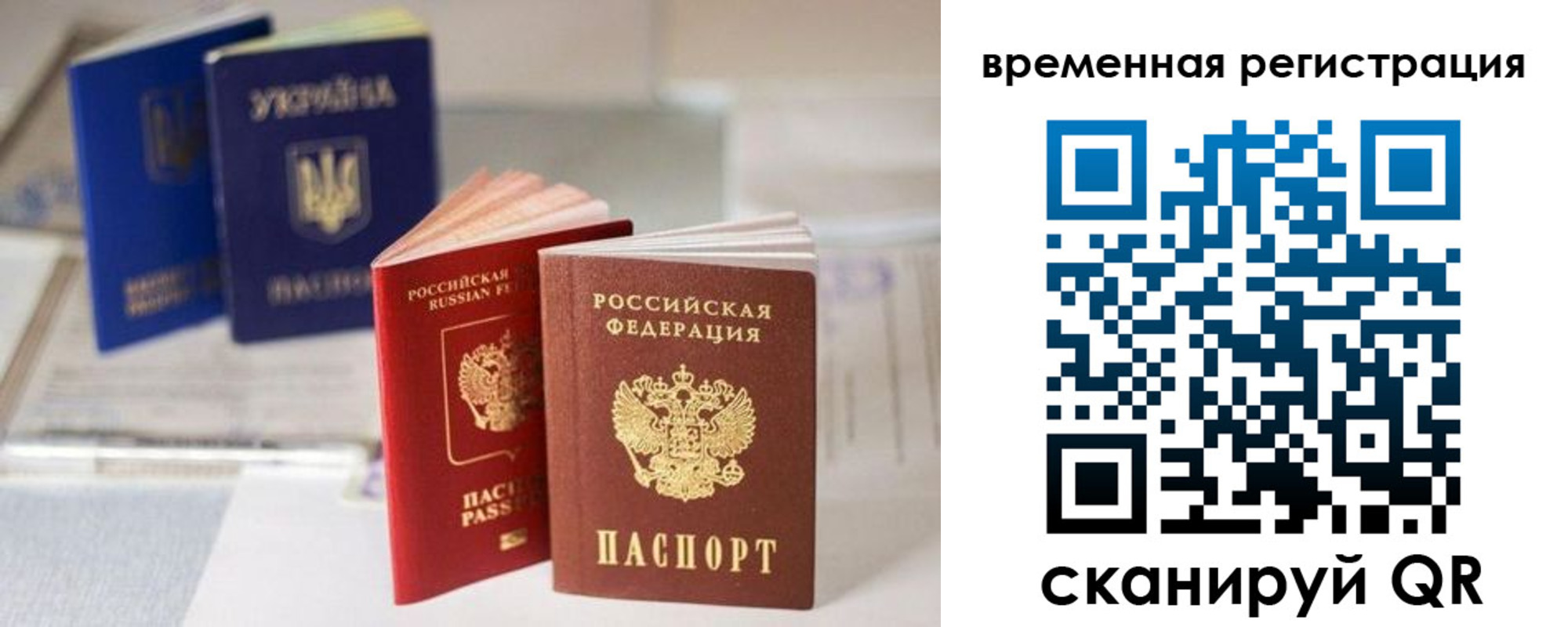 прописка поиск в Ростовской области
